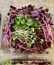 Load image into Gallery viewer, Microgreens, Mighty Mix 2oz