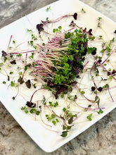 Load image into Gallery viewer, Microgreens, Mighty Mix 2oz