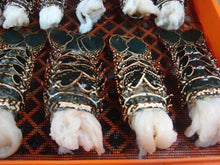 Load image into Gallery viewer, Lobster Tails, 14/16oz, Galapagos Island $23.99/lb