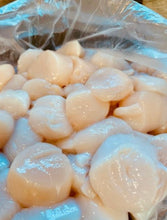 Load image into Gallery viewer, Scallops Sea, Cape May, Dry, Fresh $24.99/lb
