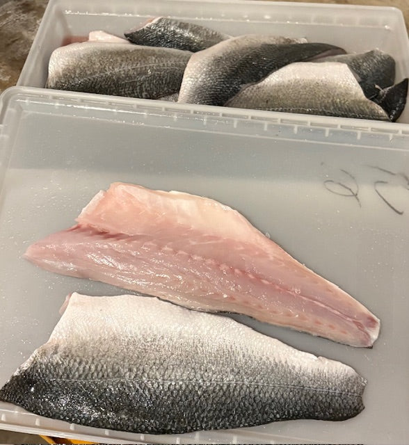 Fresh Bronzino Fillets $22.95/lb