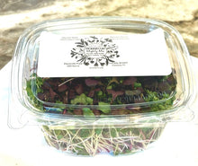 Load image into Gallery viewer, Microgreens, Mighty Mix 2oz
