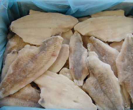 Frozen Flounder 8oz IQF 10lb case $7.99/lb