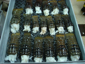 Lobster Tails, 12/14oz, Galapagos Island $19.99ea