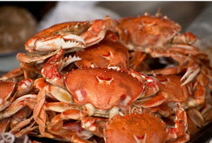 Crabs, Maryland Blue #1 jimmy's STEAMED Bushel