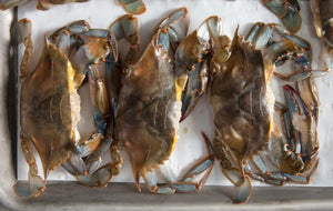 Crabs, Soft Shell Maryland Crabs Whales $7.90ea