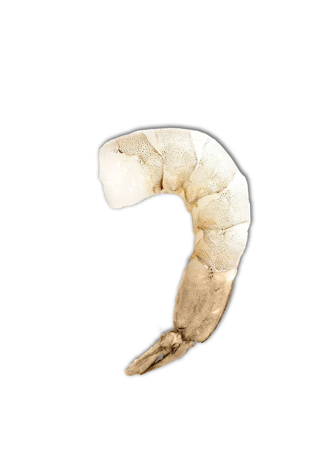 Shrimp 8/12ct raw, peeled & devained Extra Jumbo