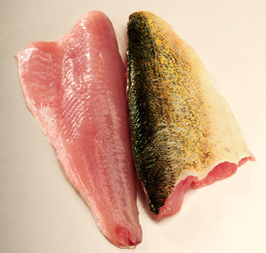 Fresh Walleye, Canadian, Fillets $14.99/lb – Seafood Express PA